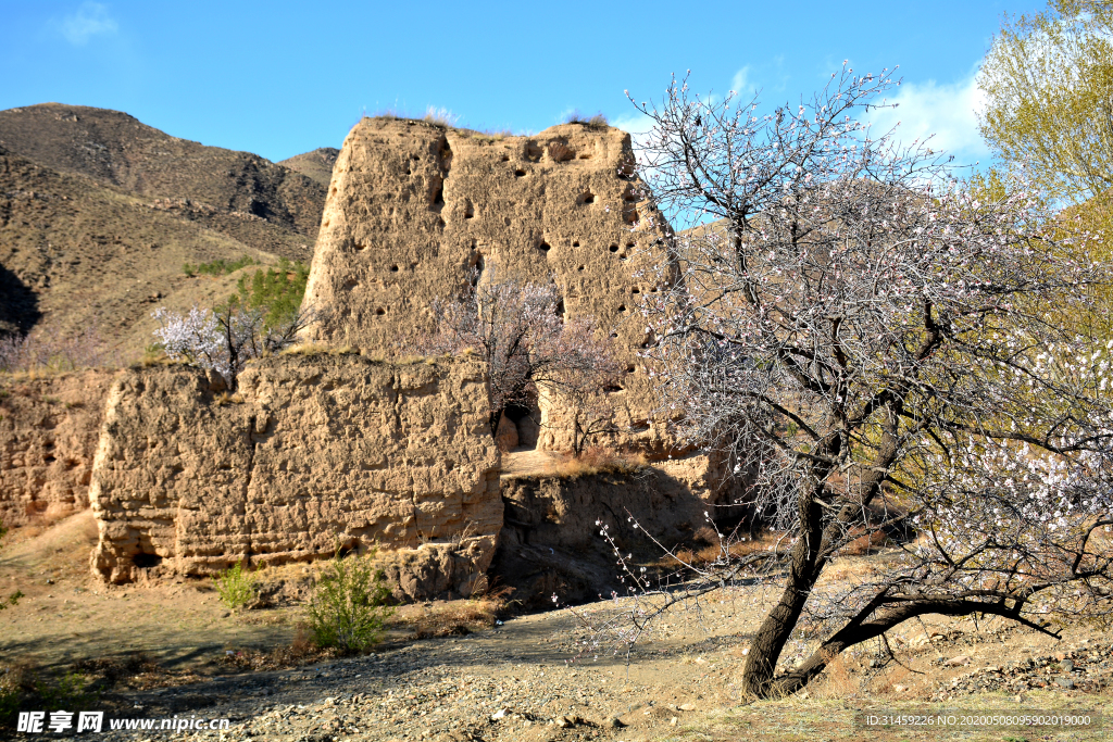 山西省大同市阳高县守口堡