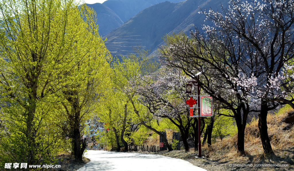 山西省大同市阳高县守口堡