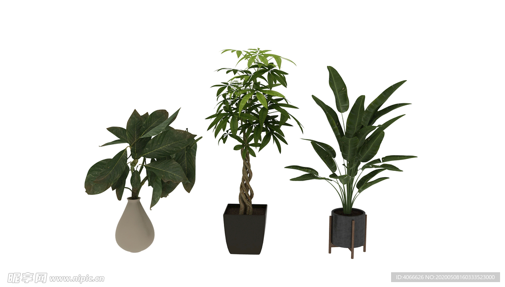 植物3d模型