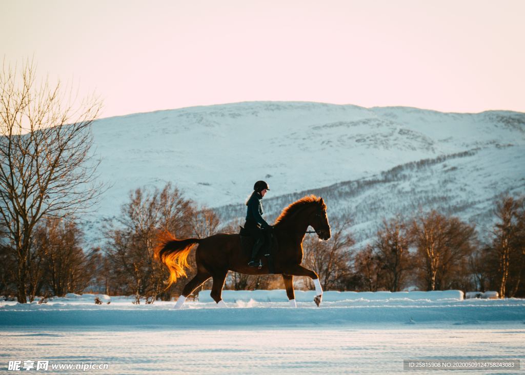 骑马运动图片