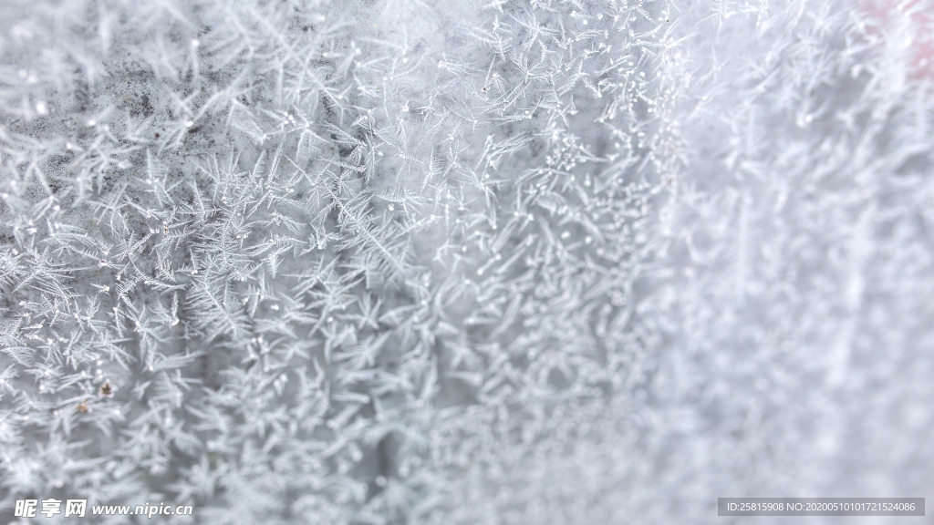 冰花冰霜图片