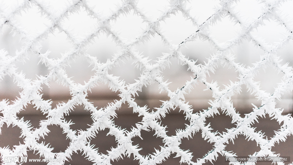 冰花冰霜图片