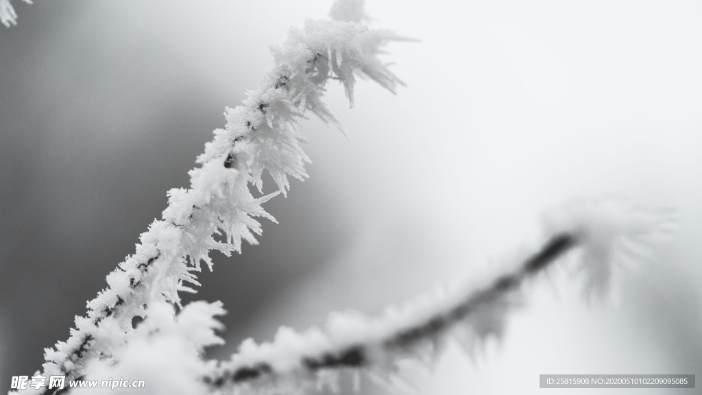 冰花冰霜图片