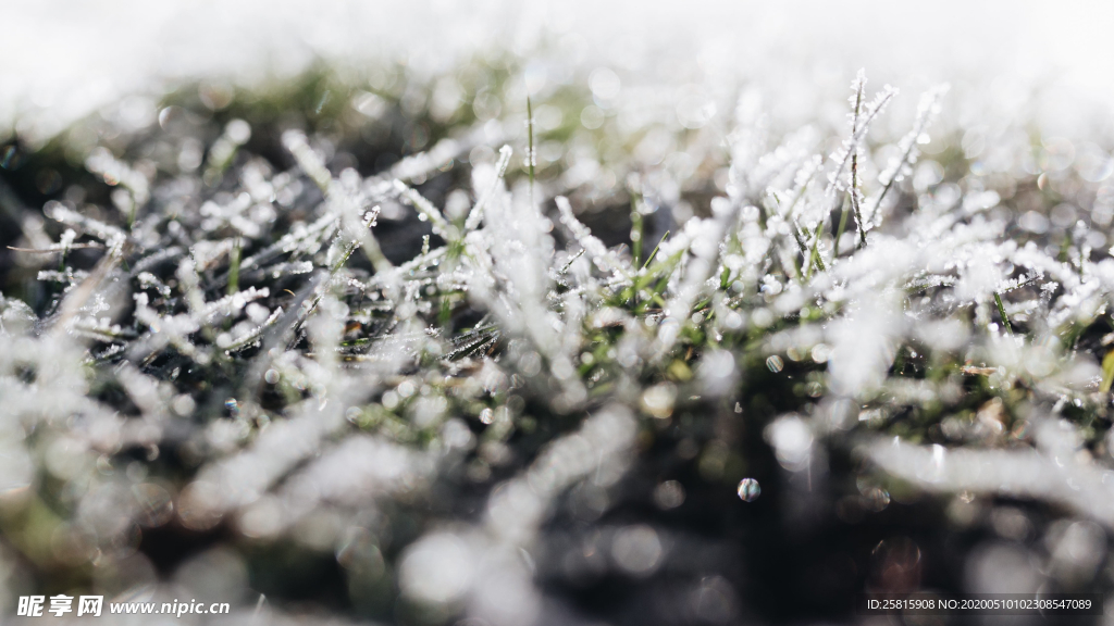 冰花冰霜图片