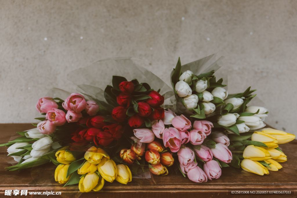 郁金香唯美图片