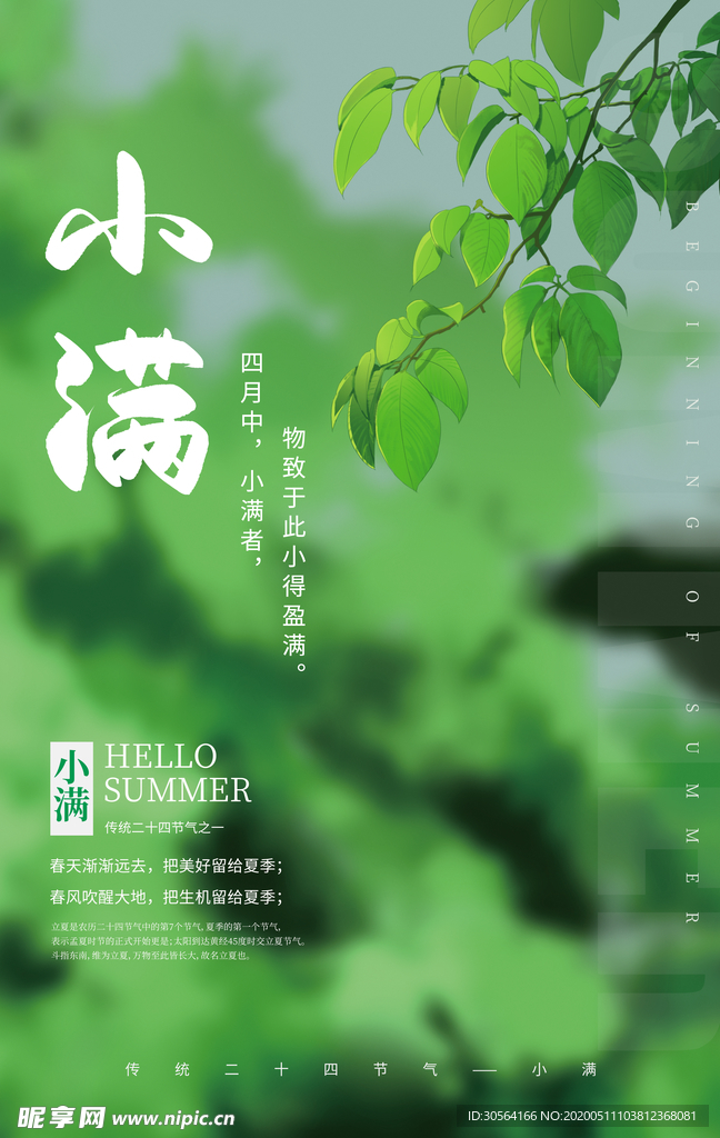 小满绿色清新海报