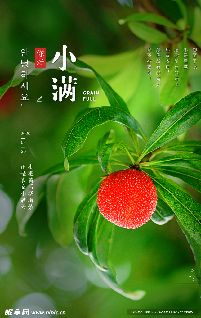小满季节水果海报
