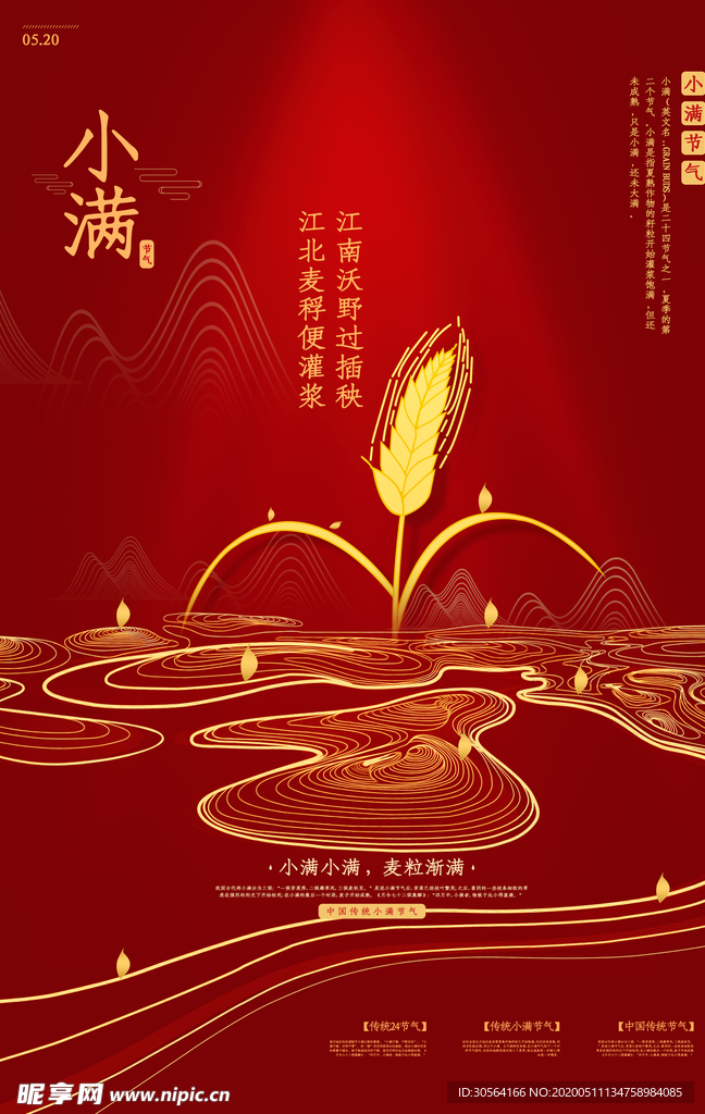 小满金色麦穗海报