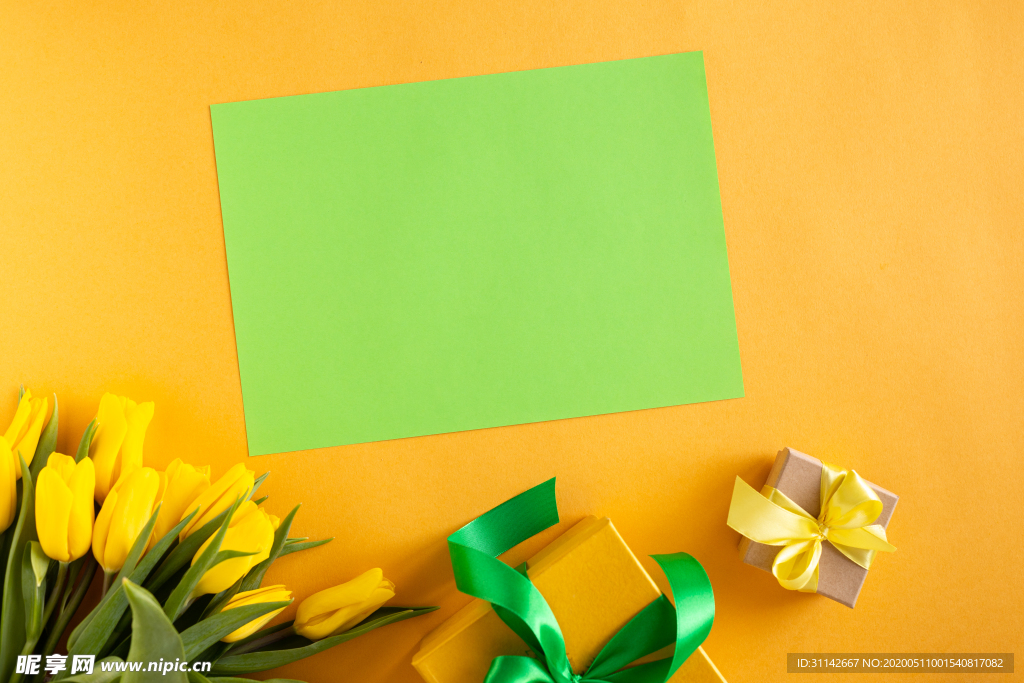 黄色郁金香背景图片