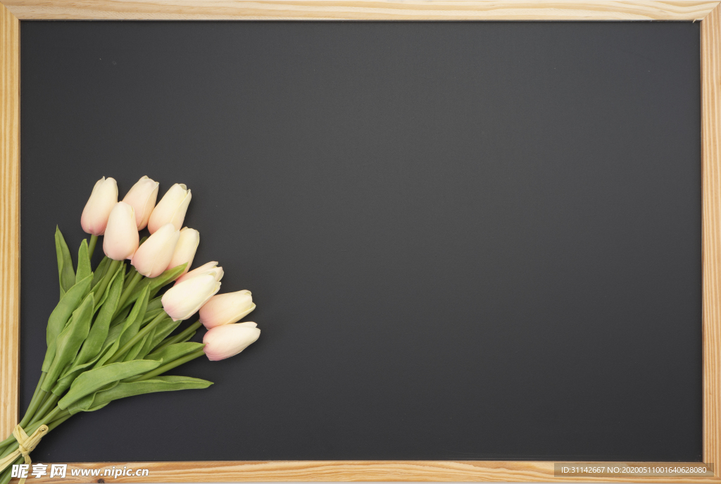 郁金香花束背景