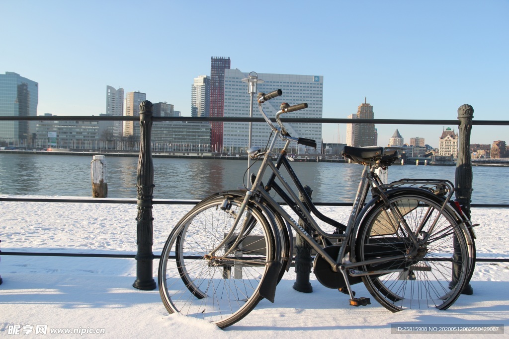 鹿特丹风景图片