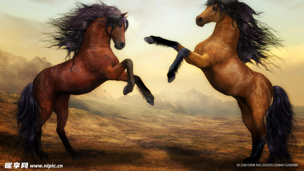 骏马马匹马儿图片