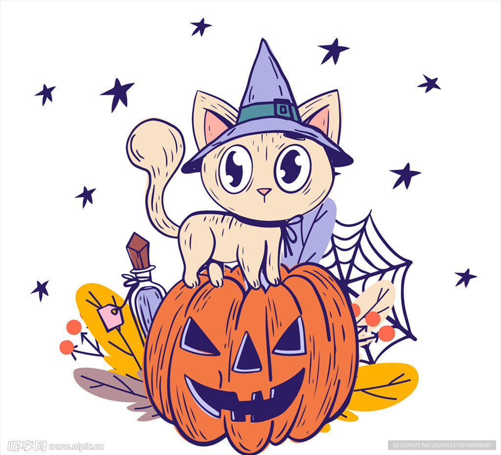 南瓜头上猫咪