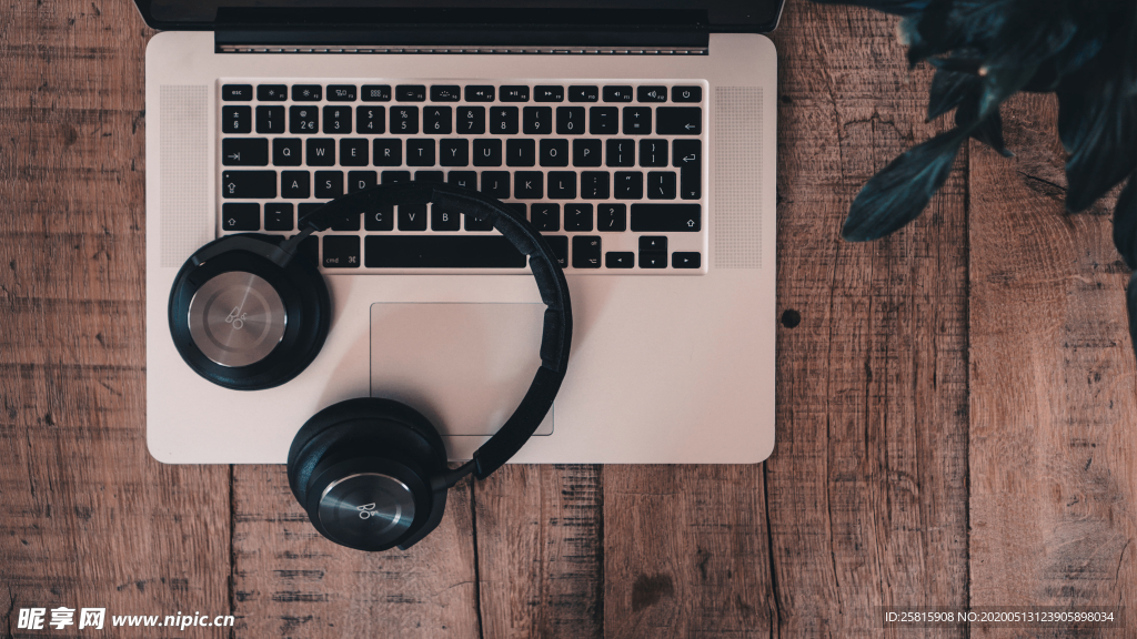 耳机无线耳机图片