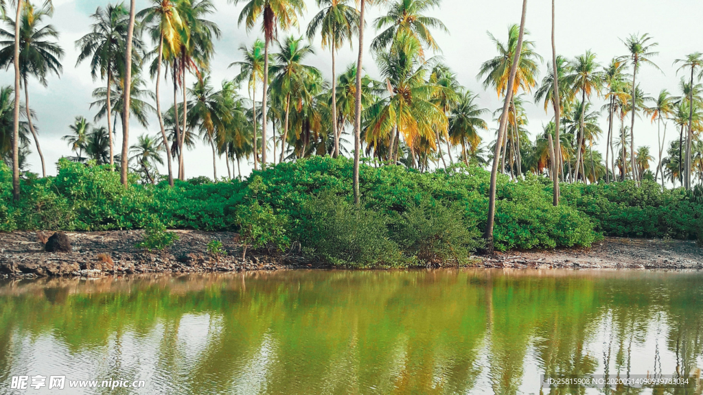 马尔代夫沙滩海岸图片