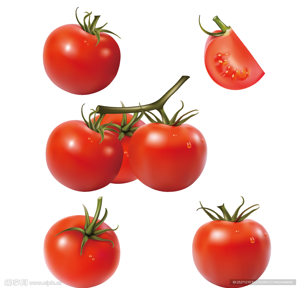 西红柿矢量图