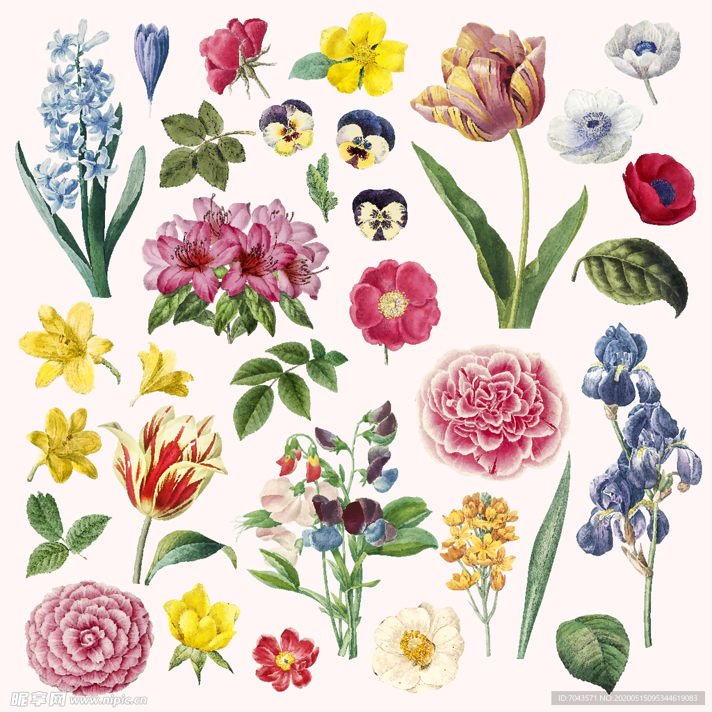 植物复古花卉矢量合集