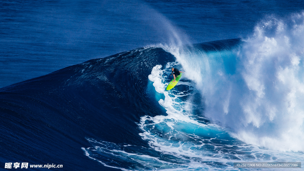 冲浪冲浪板图片