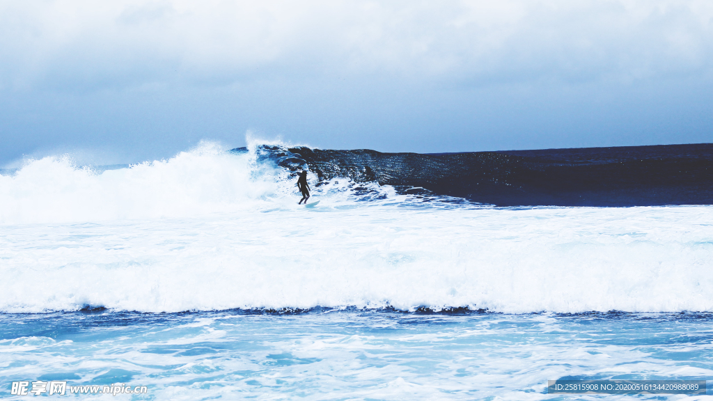 冲浪冲浪板图片