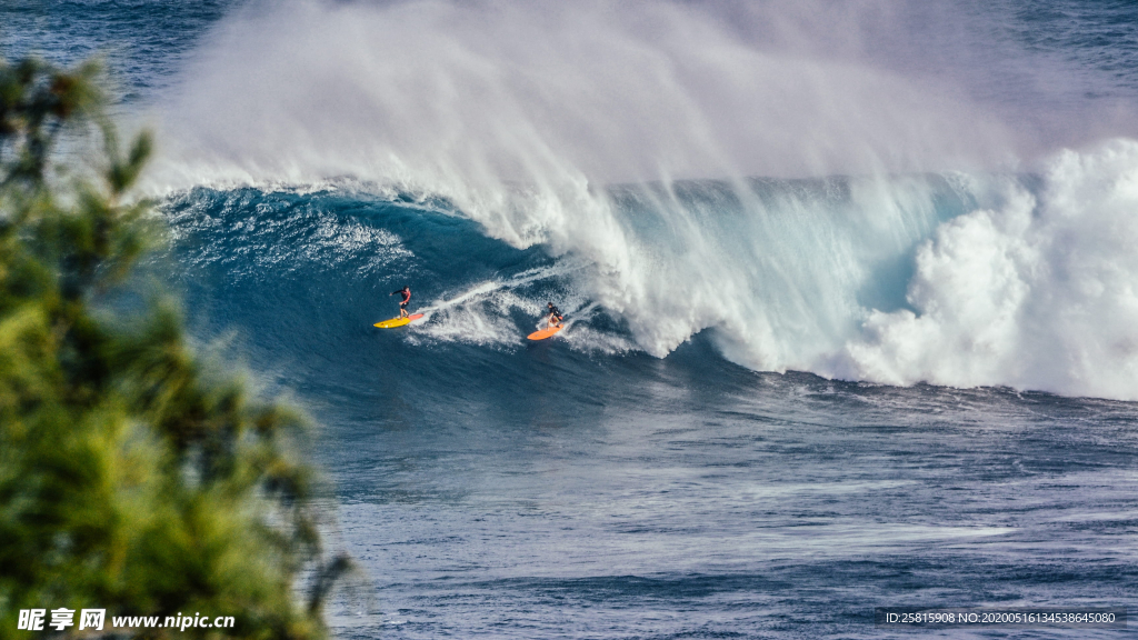 冲浪冲浪板图片