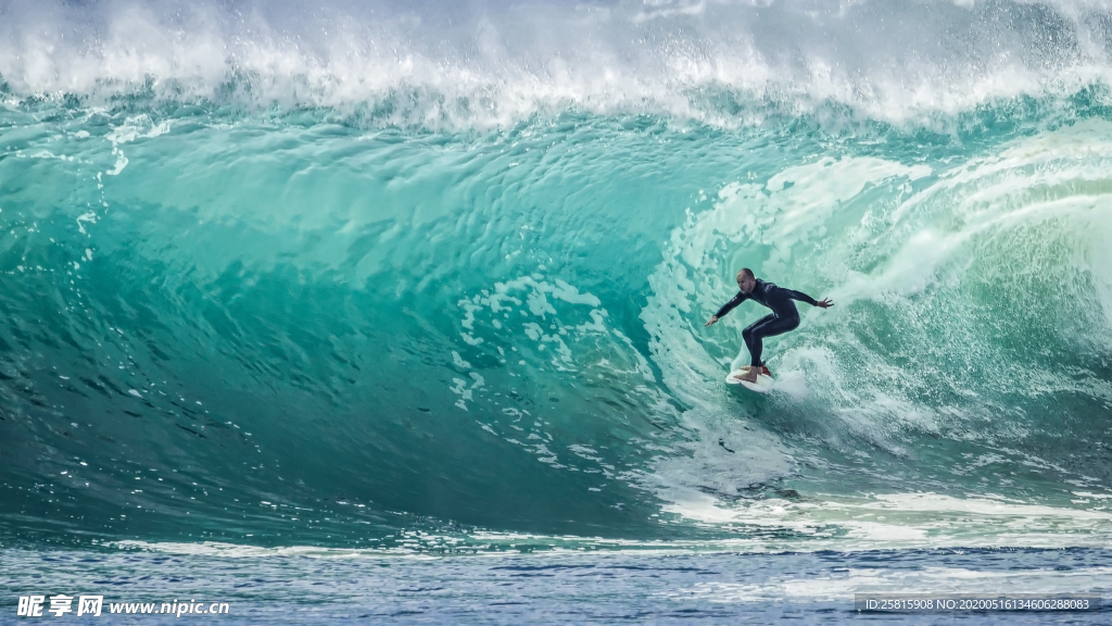 冲浪冲浪板图片