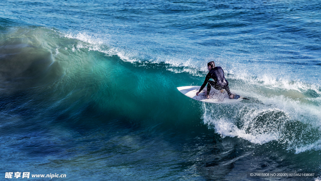冲浪冲浪板图片