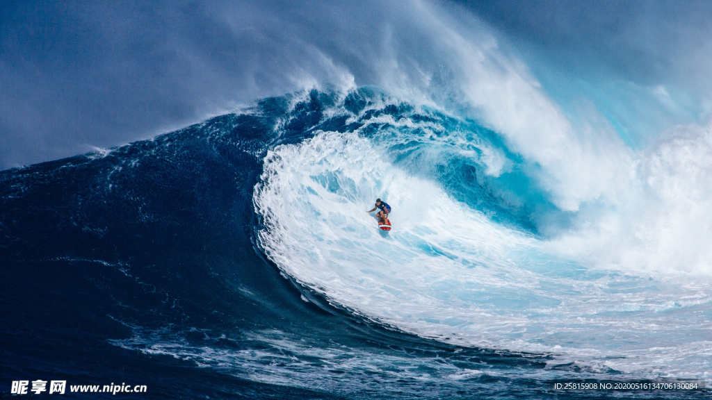 冲浪冲浪板图片