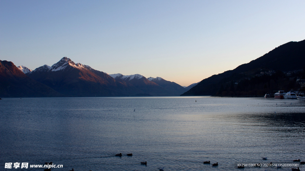 鸭子空山鸟语图片