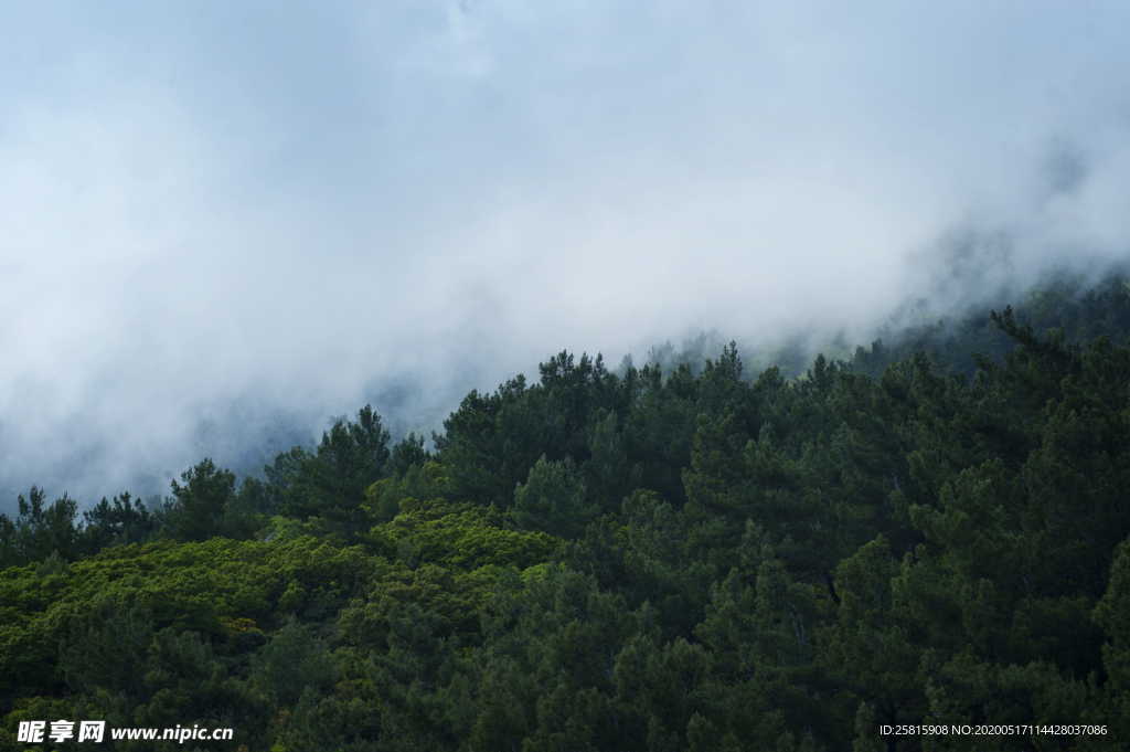 雾气雾天大雾图片