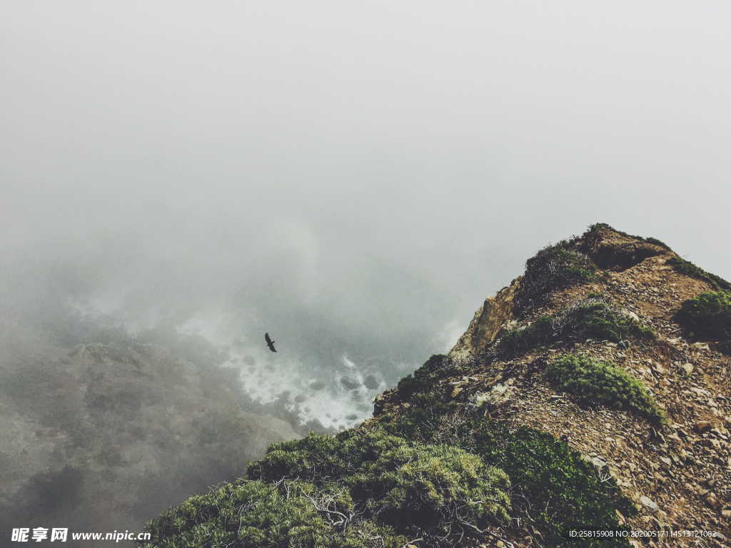 雾气雾天大雾图片