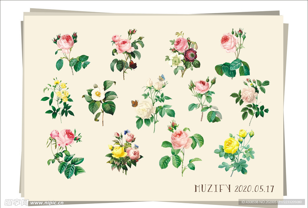 13款玫瑰花彩色稿