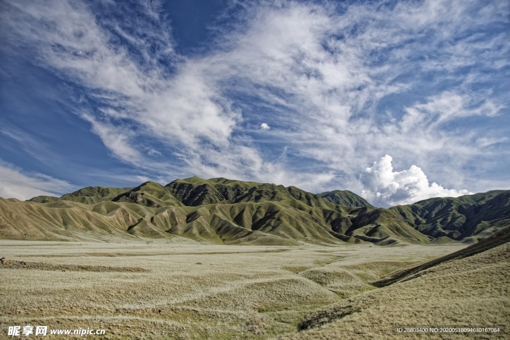 山水 森林 天空