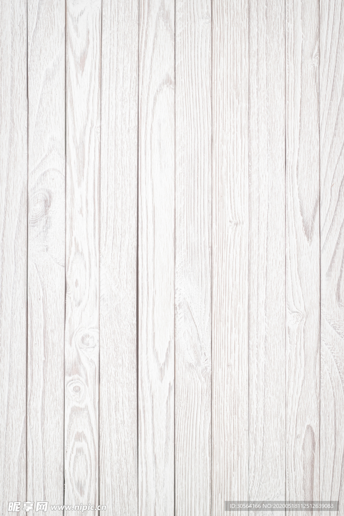 白桦树纹理树木桌面背景素材