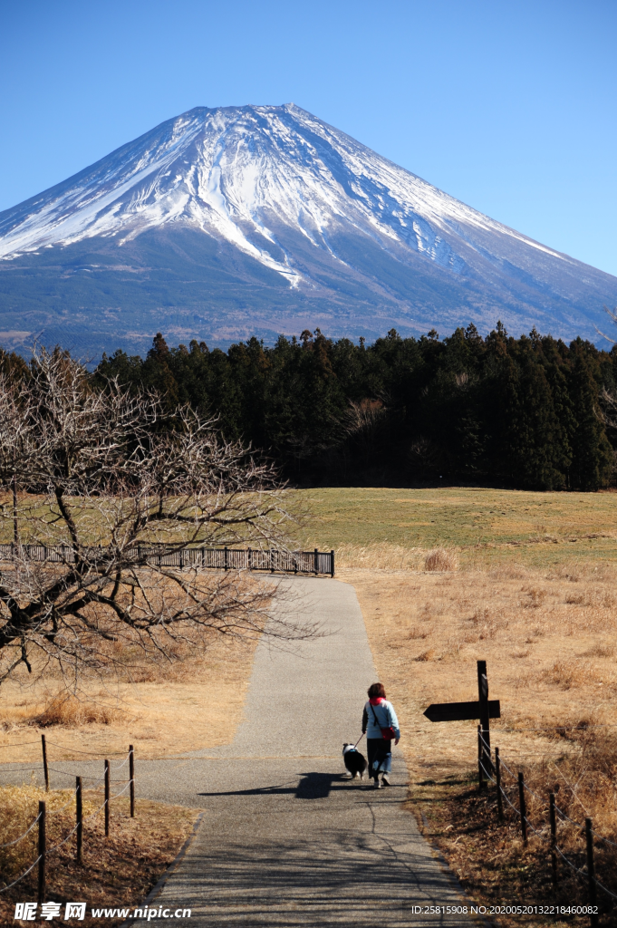 富士山火山图片