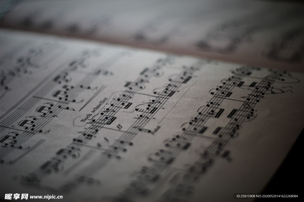 乐曲音符歌谱图片