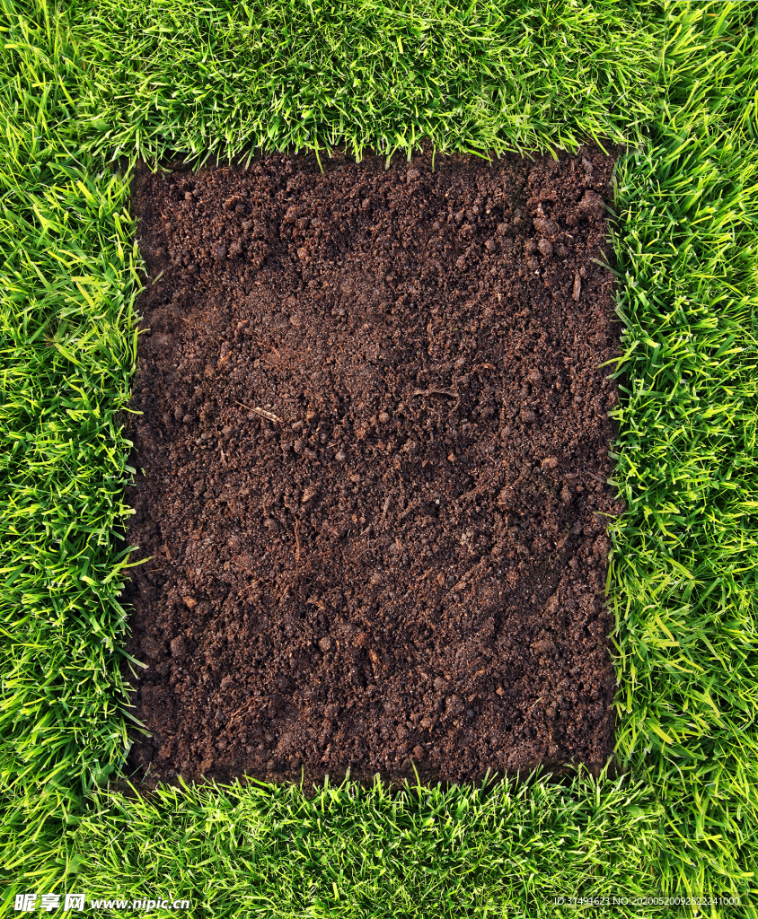 草地 草坪 绿草 绿荫 足球场