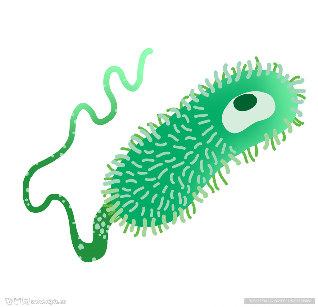 细菌 矢量细菌 卡通细菌 手绘