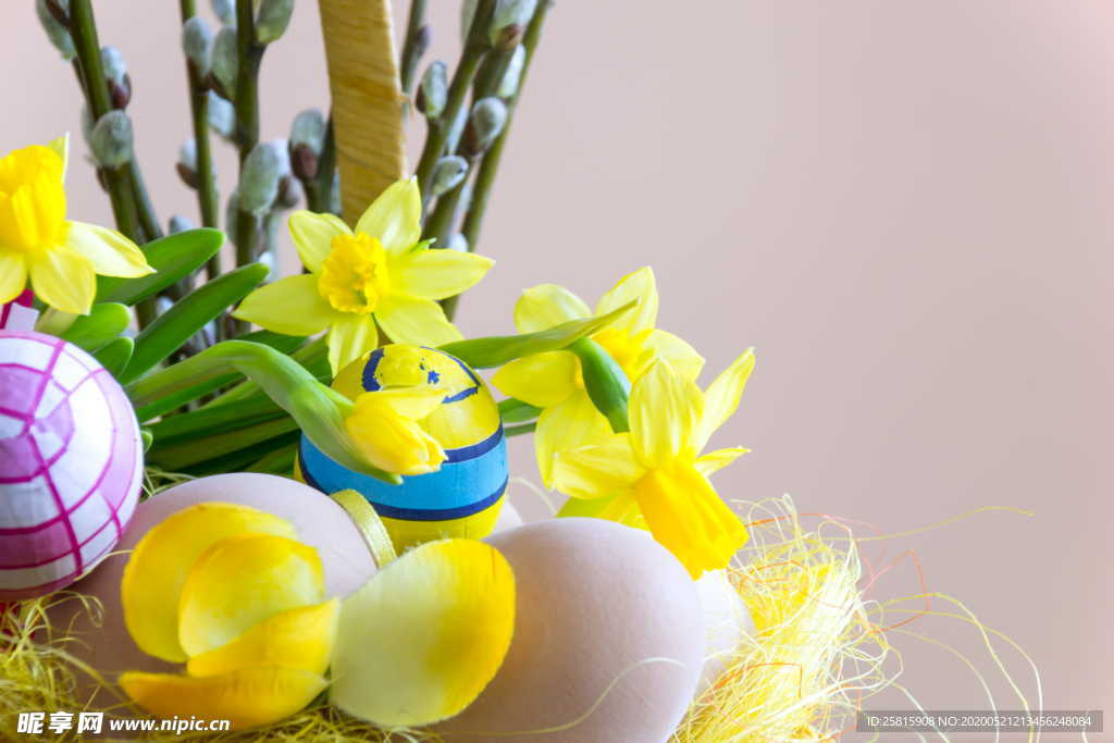 水仙花唯美图片