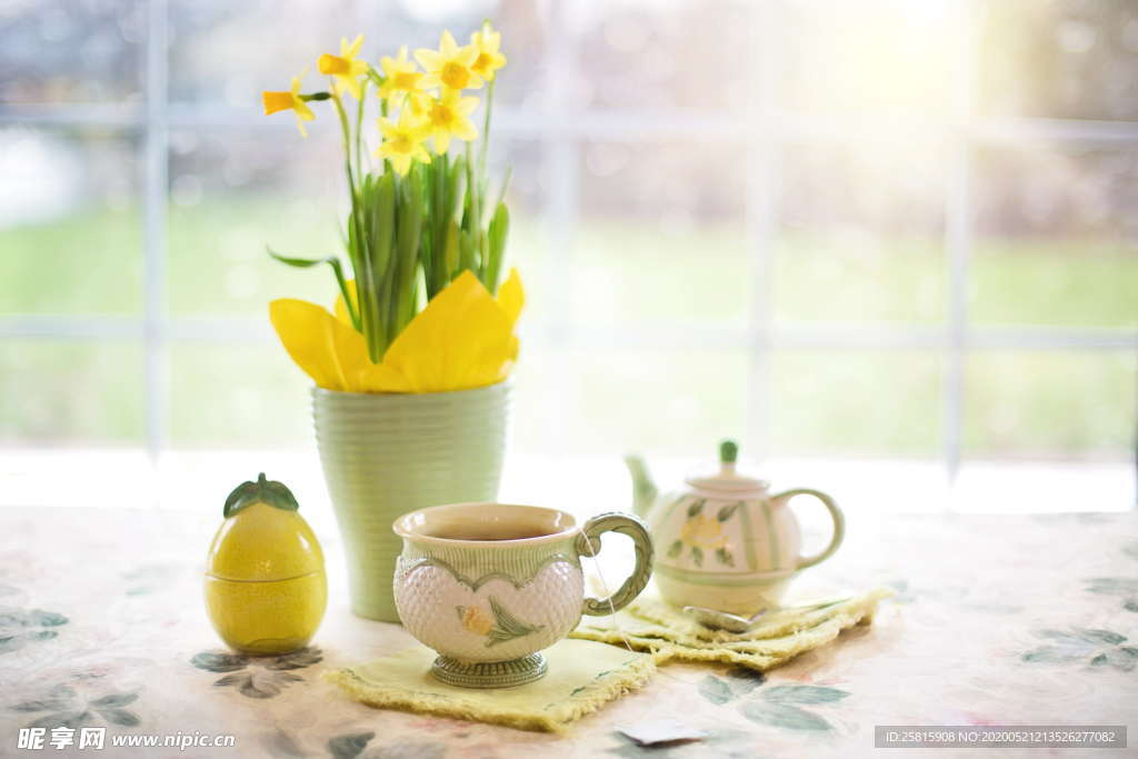 水仙花唯美图片