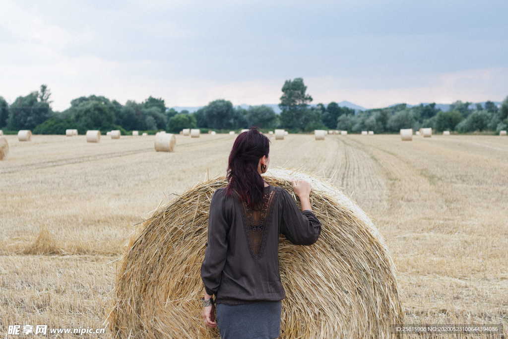草垛麦草垛稻草垛图片