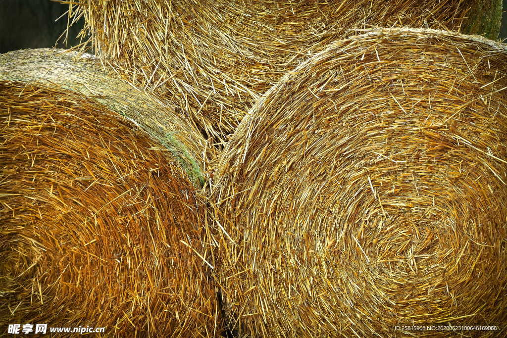 草垛麦草垛稻草垛图片