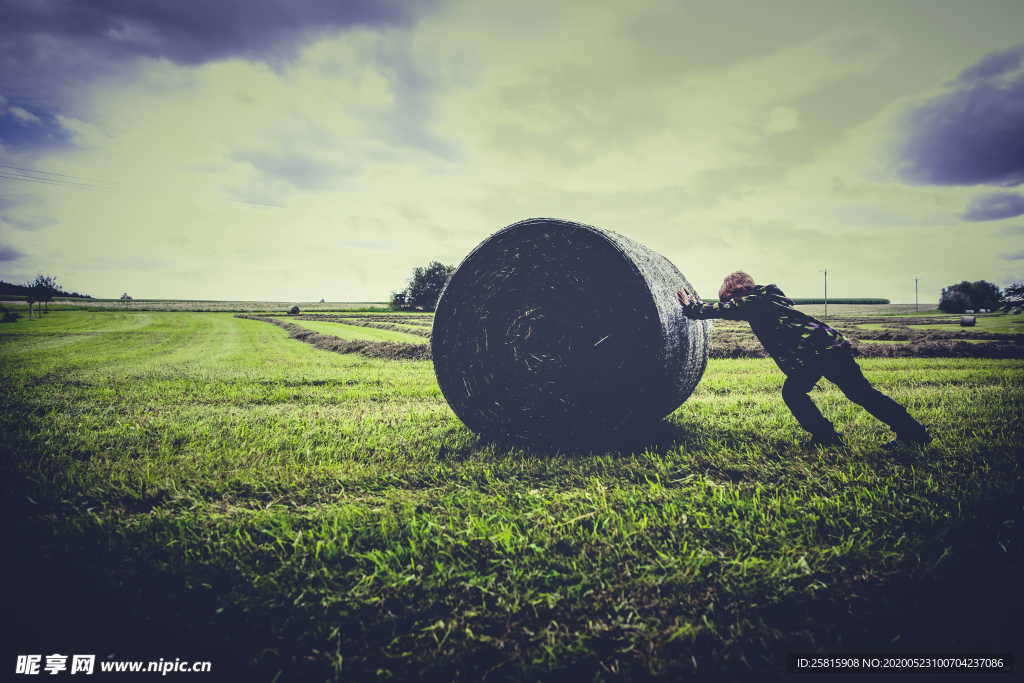 草垛麦草垛稻草垛图片