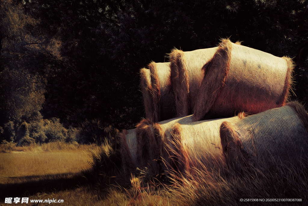 草垛麦草垛稻草垛图片