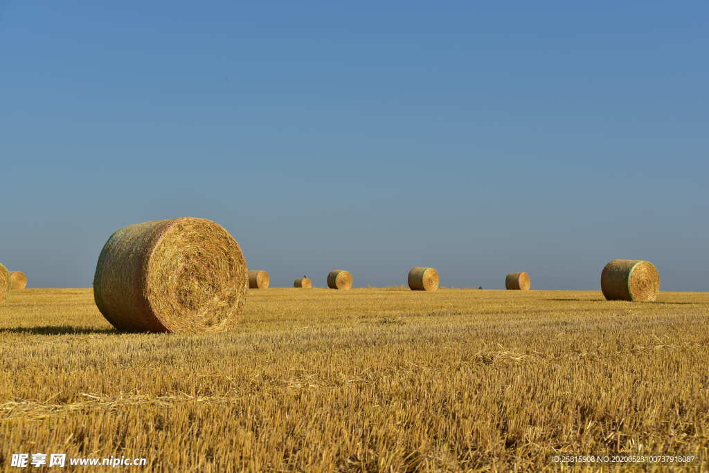 草垛麦草垛稻草垛图片