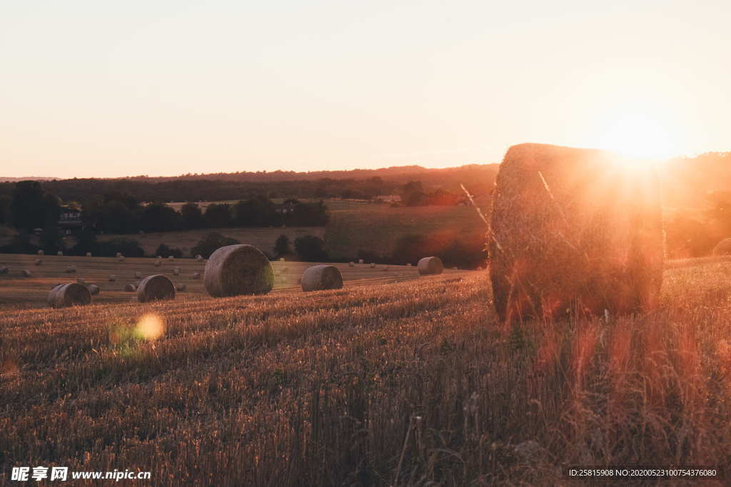 草垛麦草垛稻草垛图片