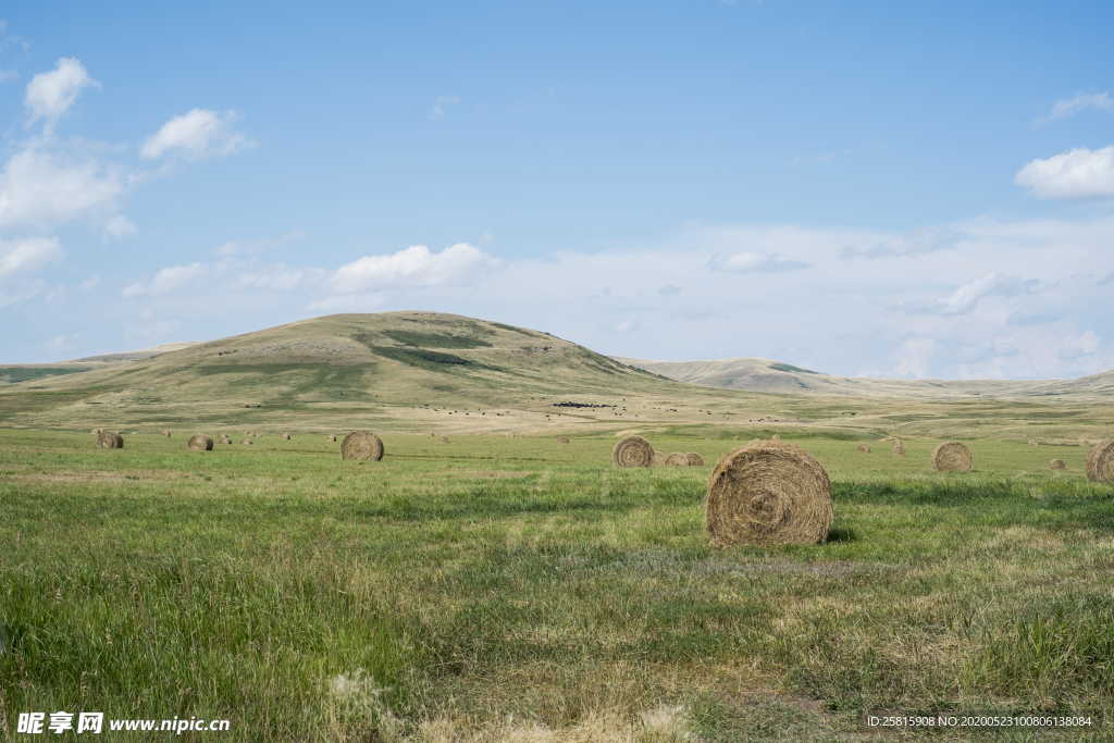 草垛麦草垛稻草垛图片