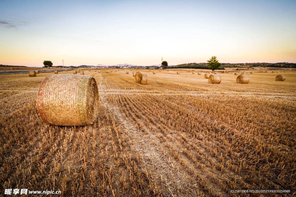 草垛麦草垛稻草垛图片