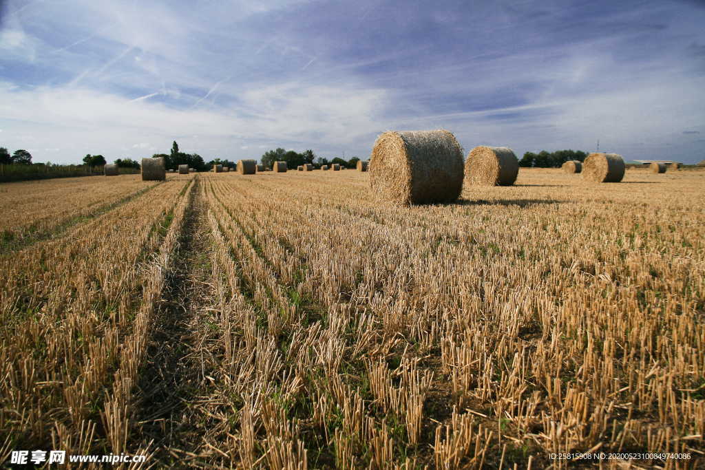 草垛麦草垛稻草垛图片