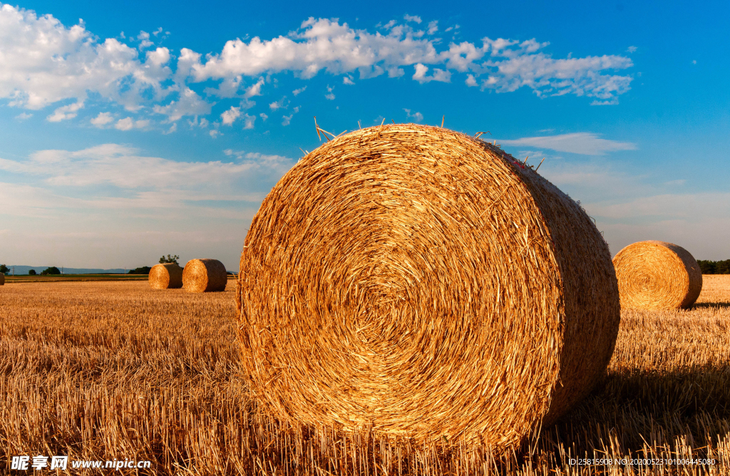 草垛麦草垛稻草垛图片