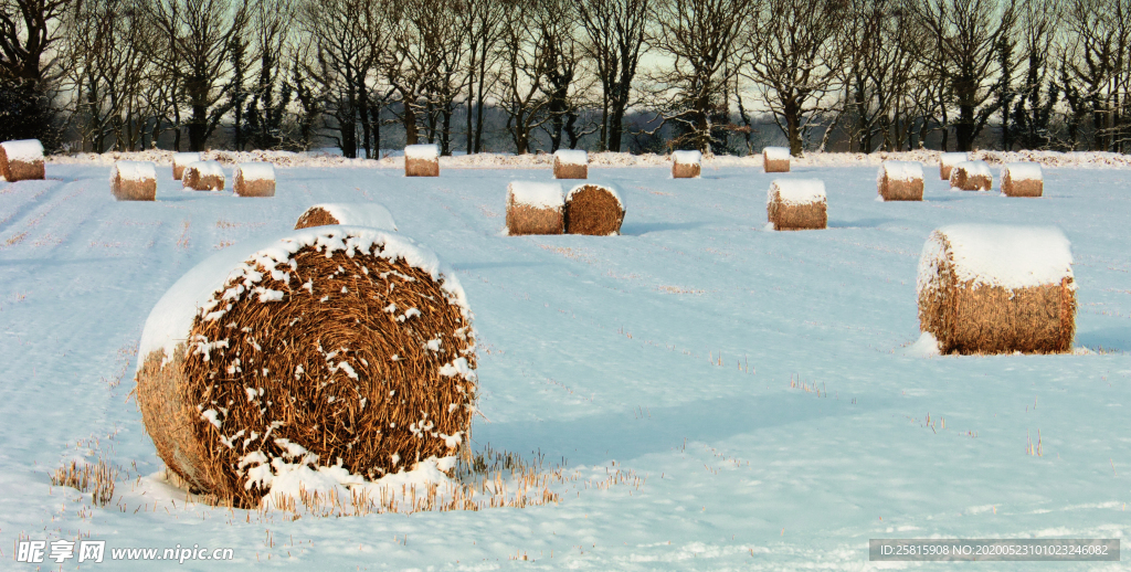 草垛麦草垛稻草垛图片